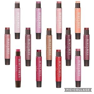 NEW!!! 8 Burt’s Bees Lip Shimmer